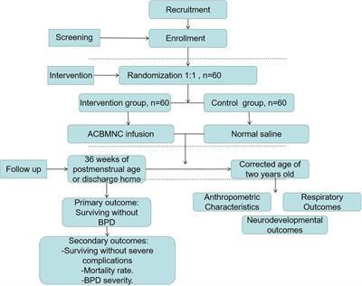 Autologous cord blood mononuclear cell infusion for the prevention of bronchopulmonary dysplasia in very preterm monozygotic twins: A study protocol for a randomized, placebo-controlled, double-blinded multicenter trial